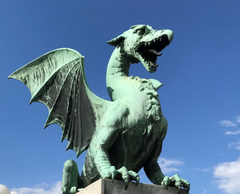 dragon Celje Slovenia