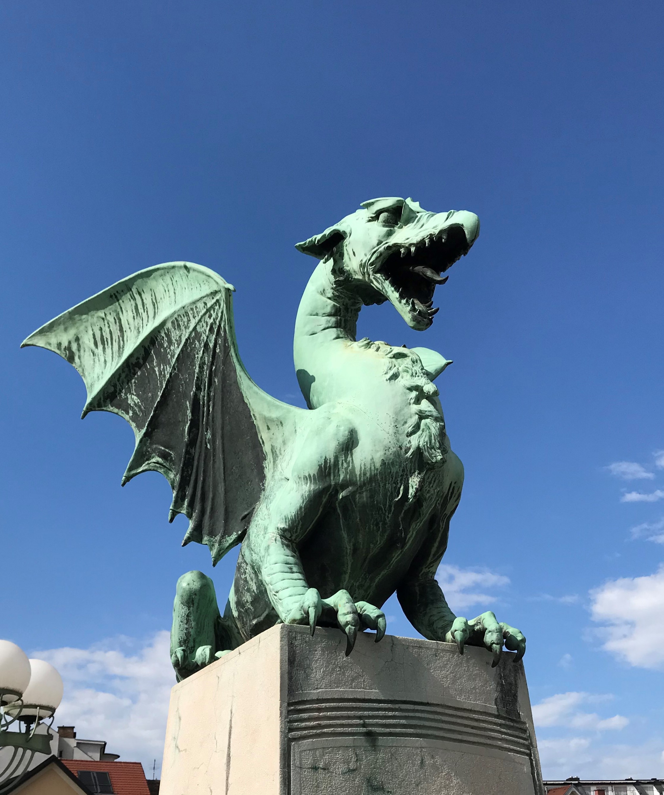 dragon Celje Slovenia